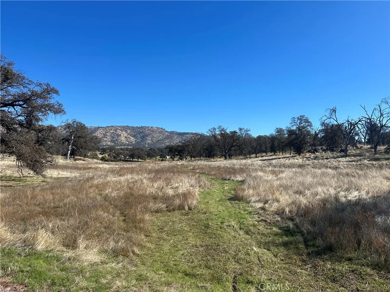 5 Ac Tinkers Penny Ln, Catheys Valley, CA 95306