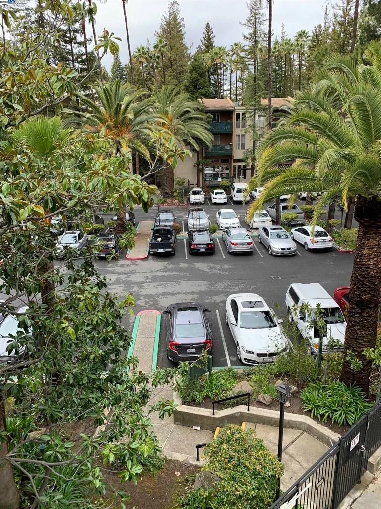 185 Sierra Dr 206, Walnut Creek, CA 94596