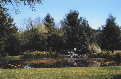 4001 Branscomb RD photo 2