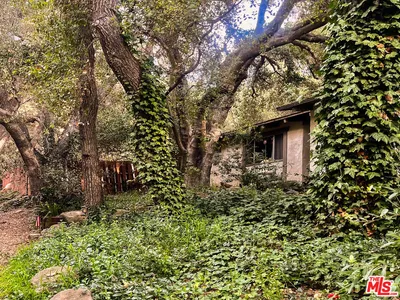 25614 Timpangos Drive photo 2