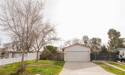 38990 Juniper Tree photo 2