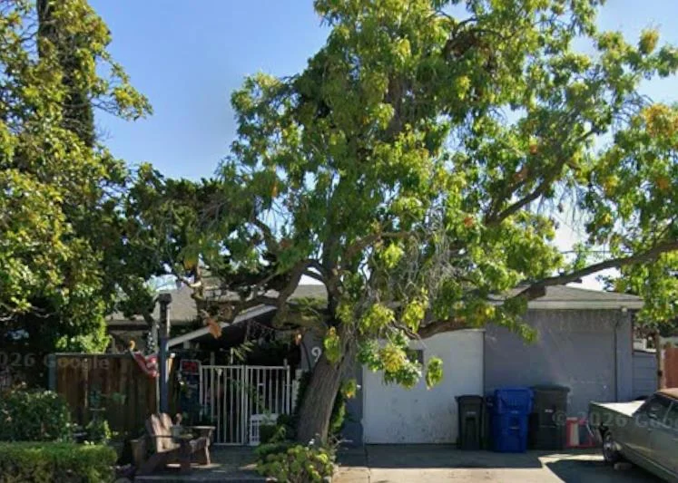 912 Connie Drive, Campbell, CA 95008