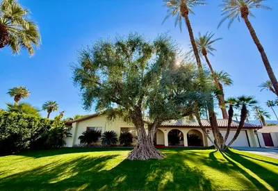 75309 Palm Shadow Drive photo 2