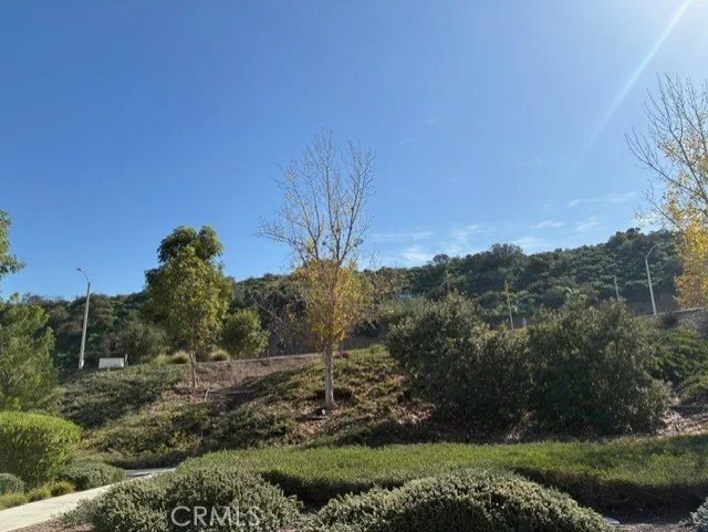 2625 Verna 104 photo 2