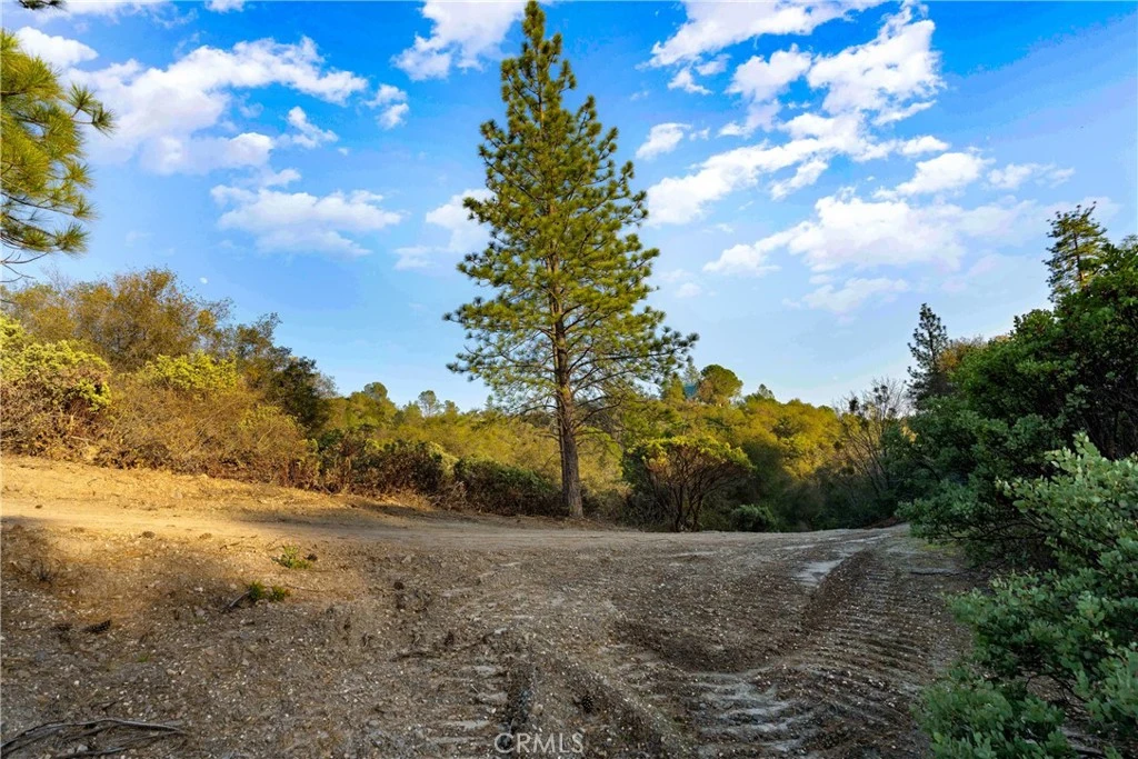 Photo 23 of 1 Ridgeview Circle