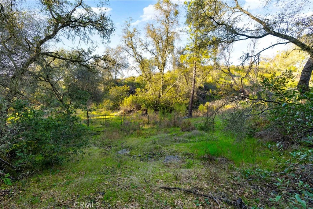 Photo 8 of 1 Ridgeview Circle