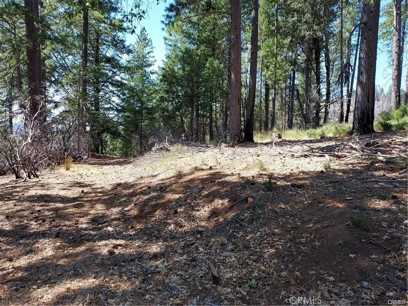 16102 Sugar Pine Ridge Road, Cobb, CA 95426