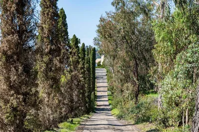 18024 Avenida Alondra photo 2