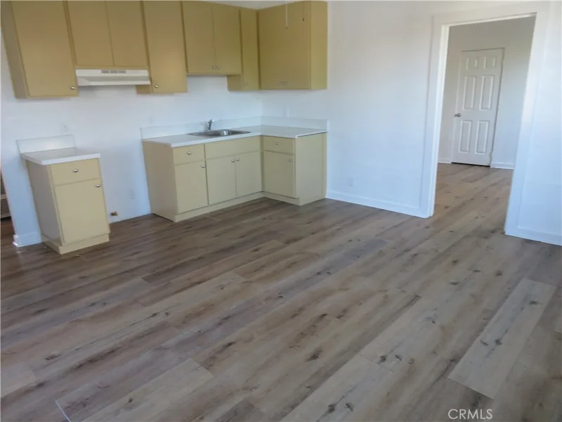 156 E Colden photo 2