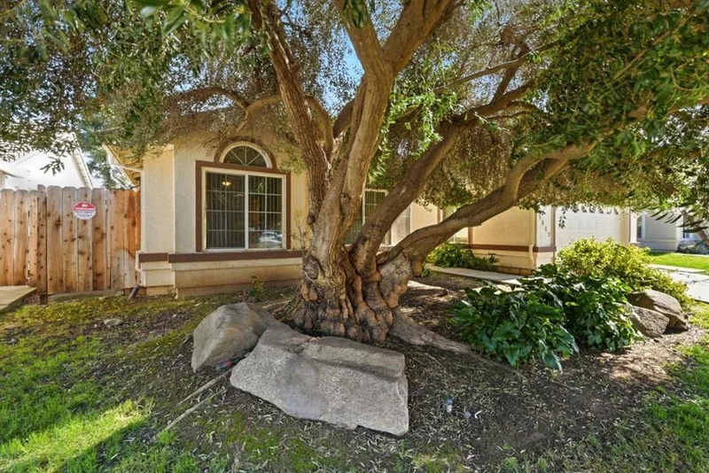 3882 Pintail Court photo 2
