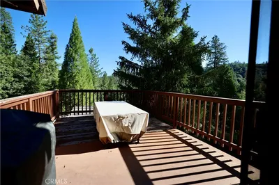 40547 Saddleback photo 2