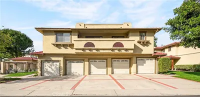 25261 Tanoak photo 2