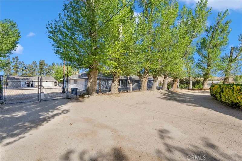 10298 Custer Avenue photo 2