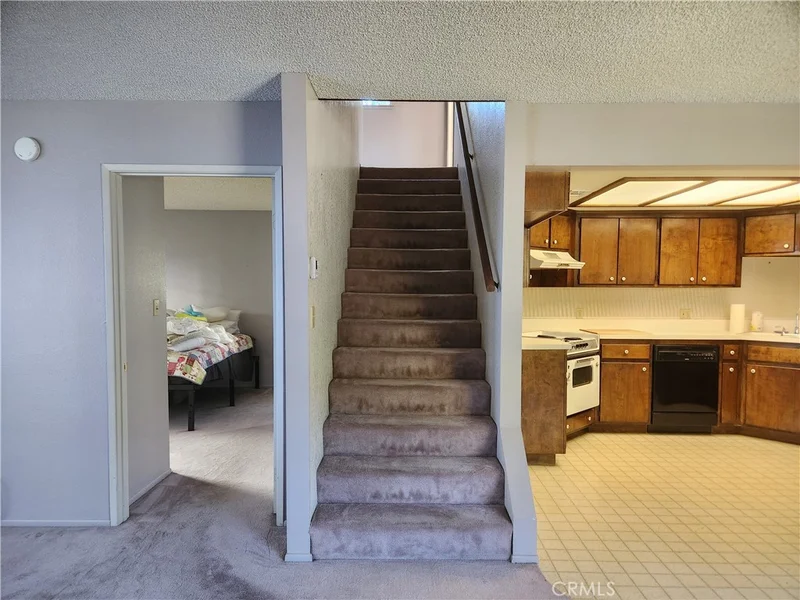 13894 Meadow photo 2