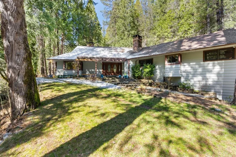 21791 Highway 49 photo 2