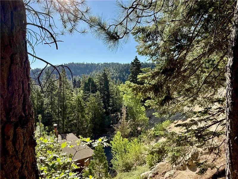 872 Sierra Vista, Twin Peaks, CA 92391