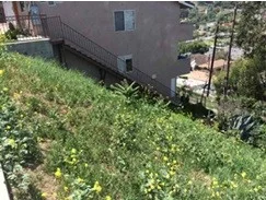 Photo 2 of 1305 Luella Drive