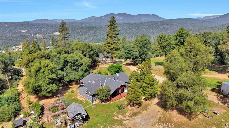 33463 Road 233
