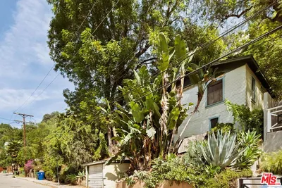 416 Museum Drive