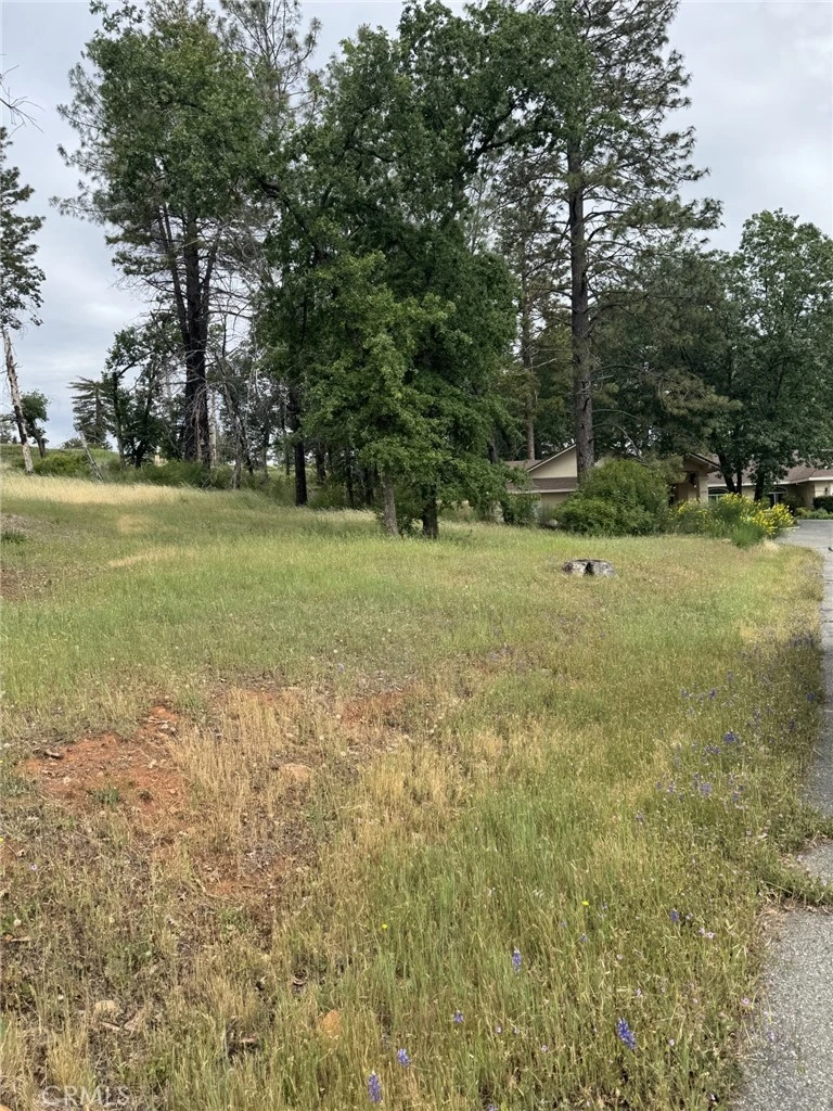 Main
