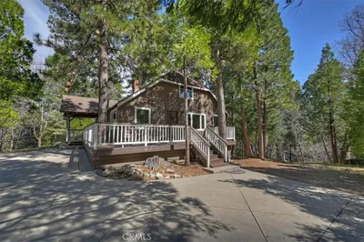 27297 Little Bear photo 2