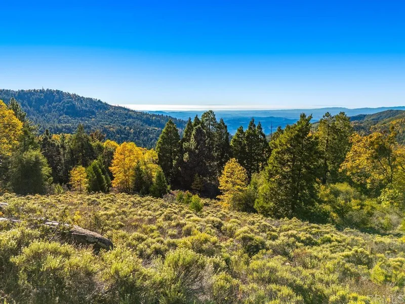 39.75 Acres State Park Road, Palomar Mountain, CA 92060