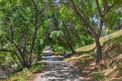 8416 Wheeler Canyon Road photo 2