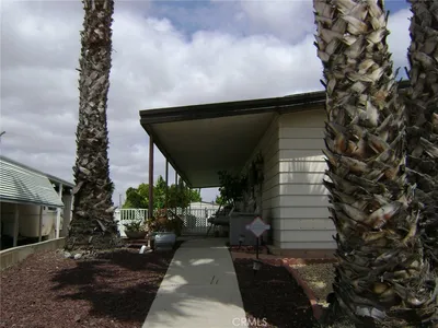 30710 Palmetto Palm photo 2