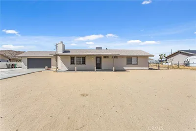 58146 Spring photo 2