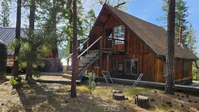 46336 Silvertip photo 2