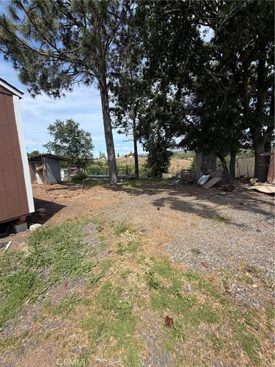 11121 Yankee Vista photo 2