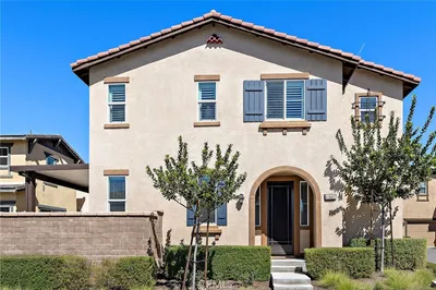41461 Winterberry photo 2