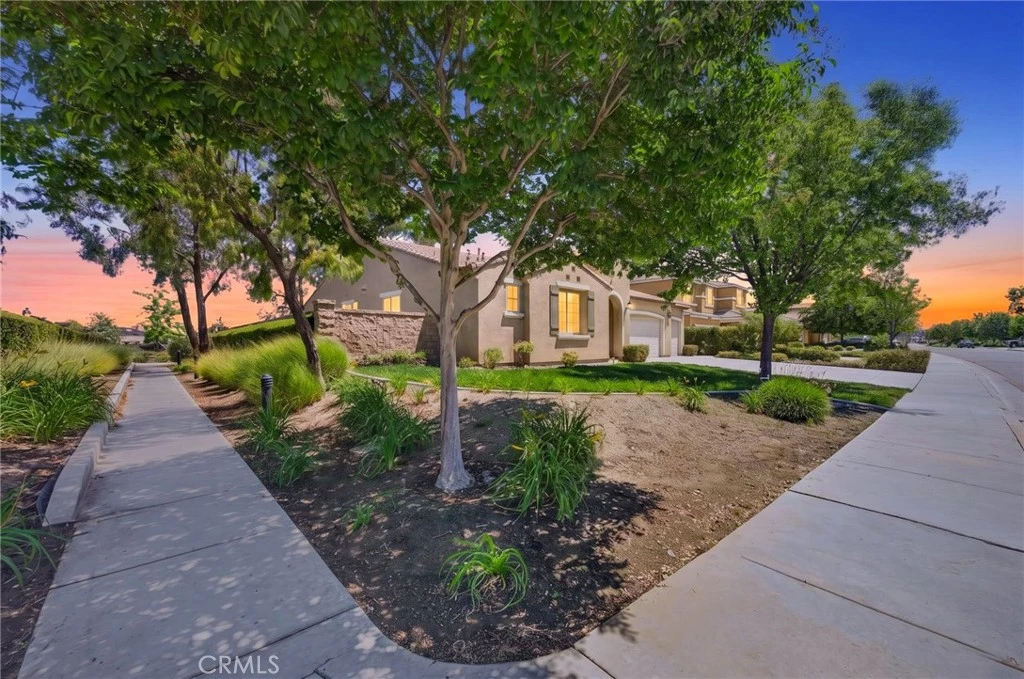 Interior 1