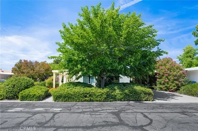 337 Lark Drive photo 2