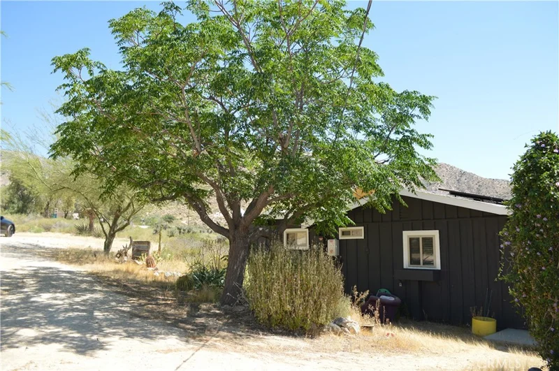 10225 Pinon photo 2