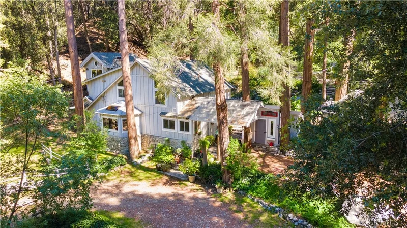 9091 Mountain View Drive, Forest Falls, CA 92339