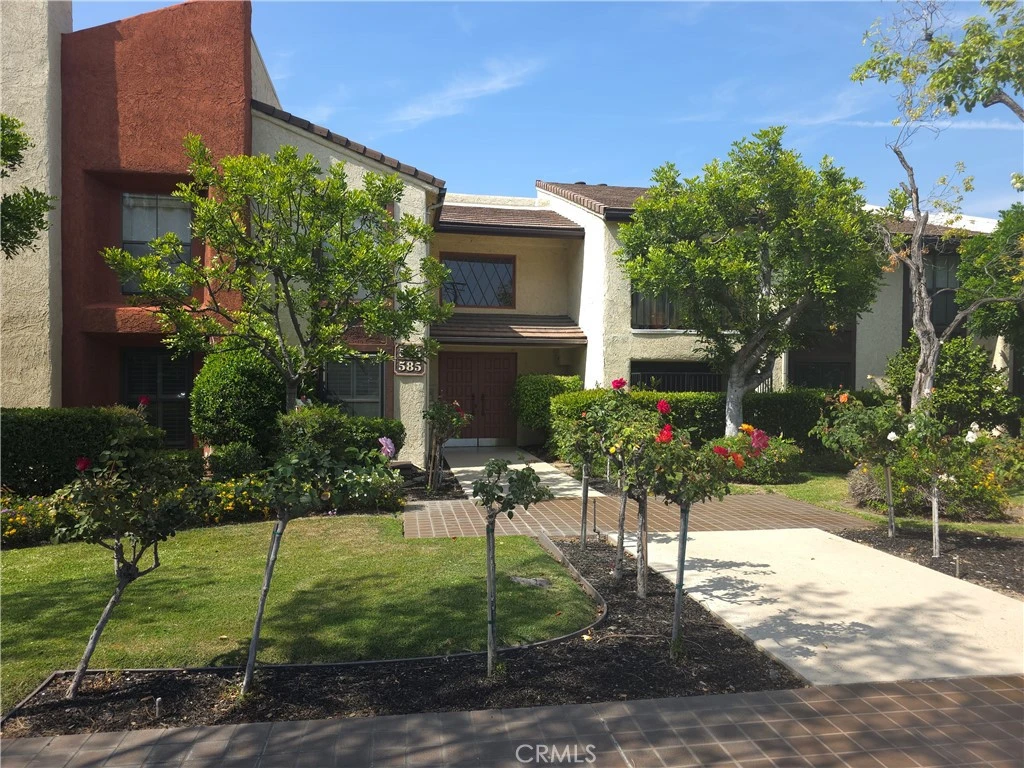 Main