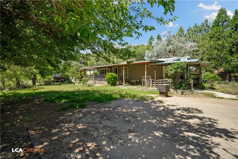 50780 Rosemary photo 2