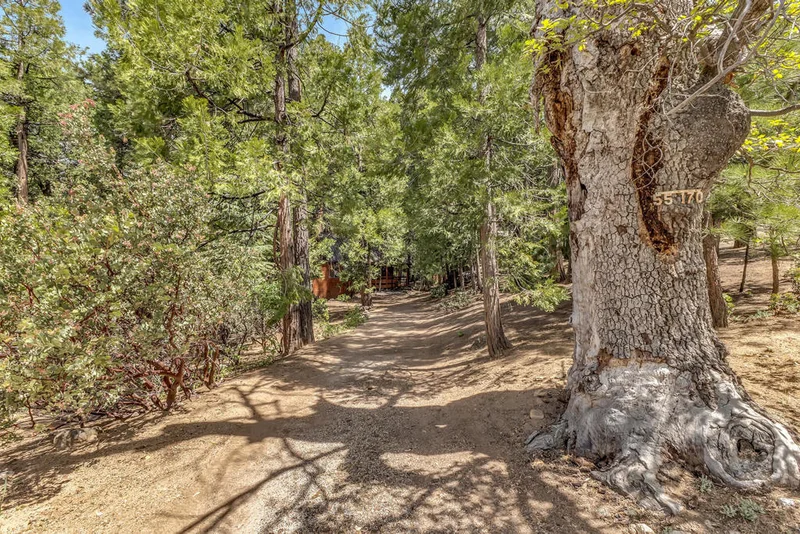 55170 Daryll Road, Idyllwild, CA 92549
