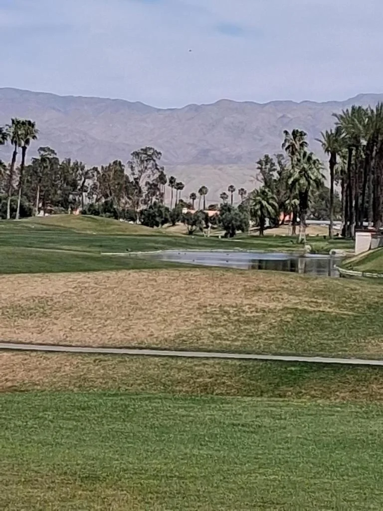 114 Alcola Circle, Palm Desert, CA 92211