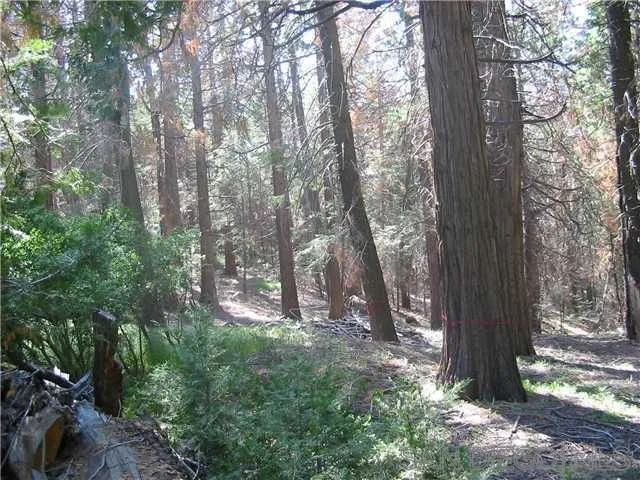 0 Crestline Road, Palomar Mountain, CA 92060