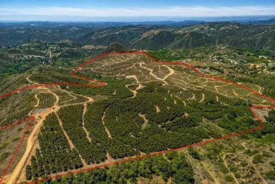 45000 Rancho Fallbrook Road