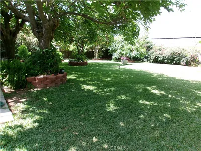 3720 Camellia photo 2