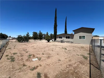 13375 Larch