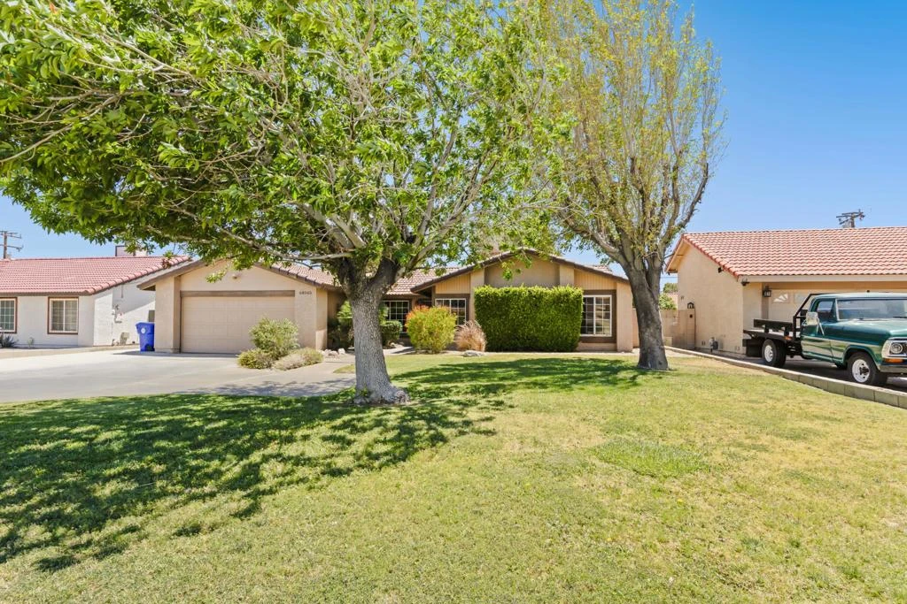 Main