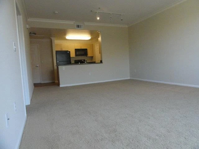 Interior 3