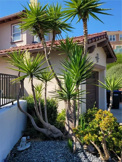 6 Sable Sands photo 2