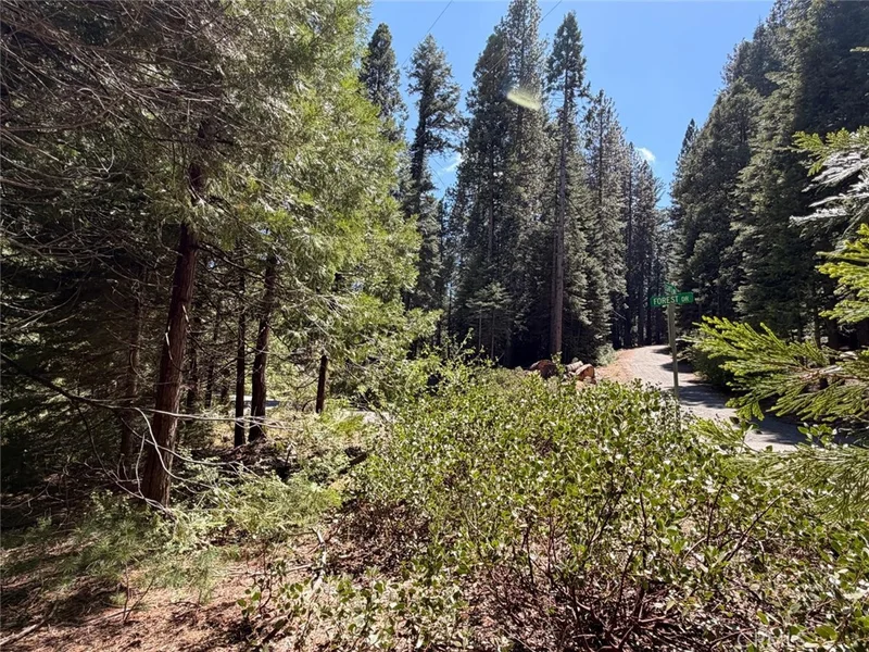 7631 Forest, Fish Camp, CA 93623