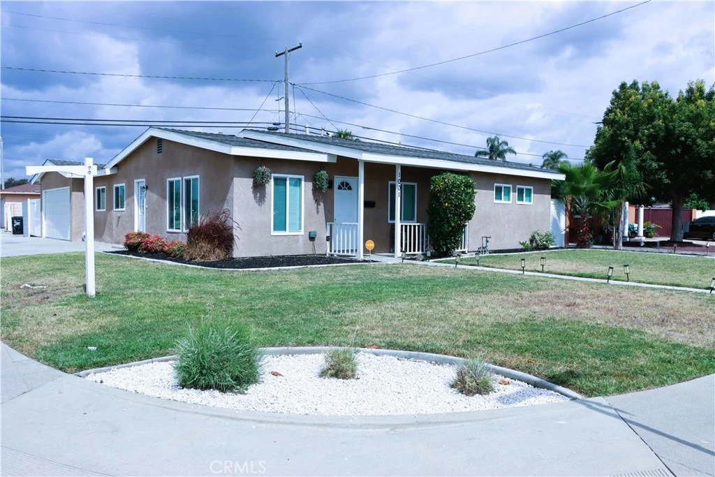 Main