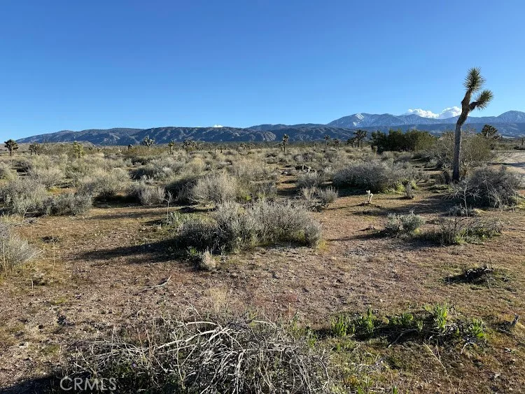 206 X9 206 S Vic Ave, Llano, CA 93544